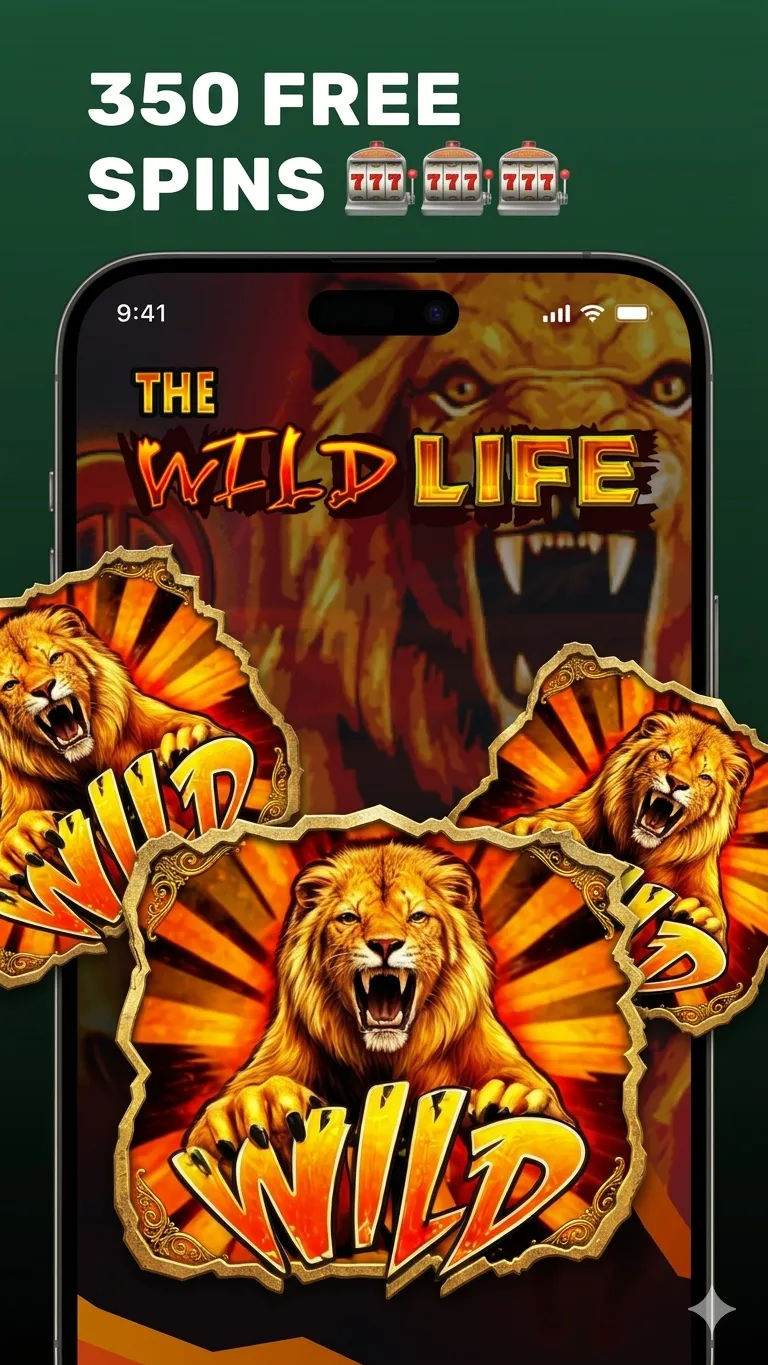 Screen